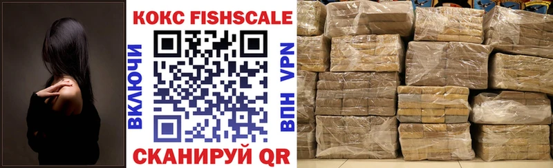 Cocaine FishScale  мега онион  Усть-Кут  как найти  