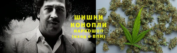 apvp Арсеньев